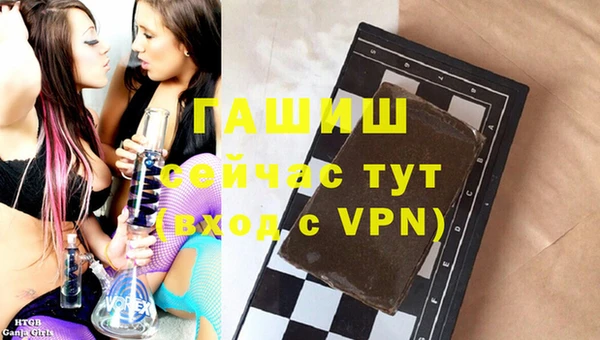индика Алексин