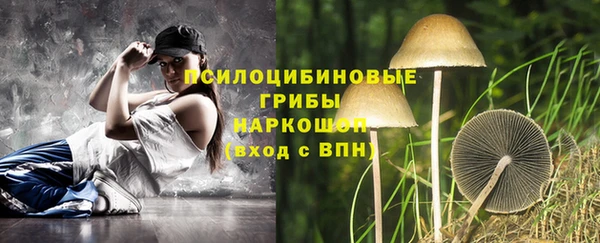 не бодяженный Арсеньев
