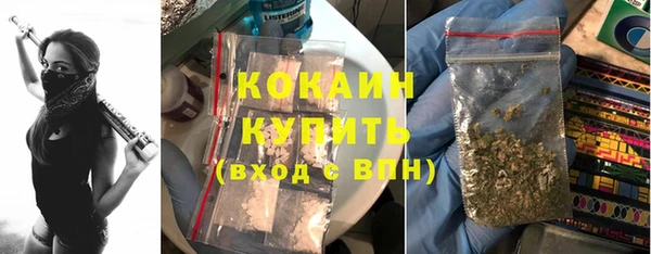 не бодяженный Арсеньев