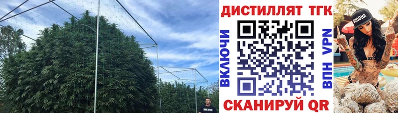 Дистиллят ТГК THC oil  Томмот 